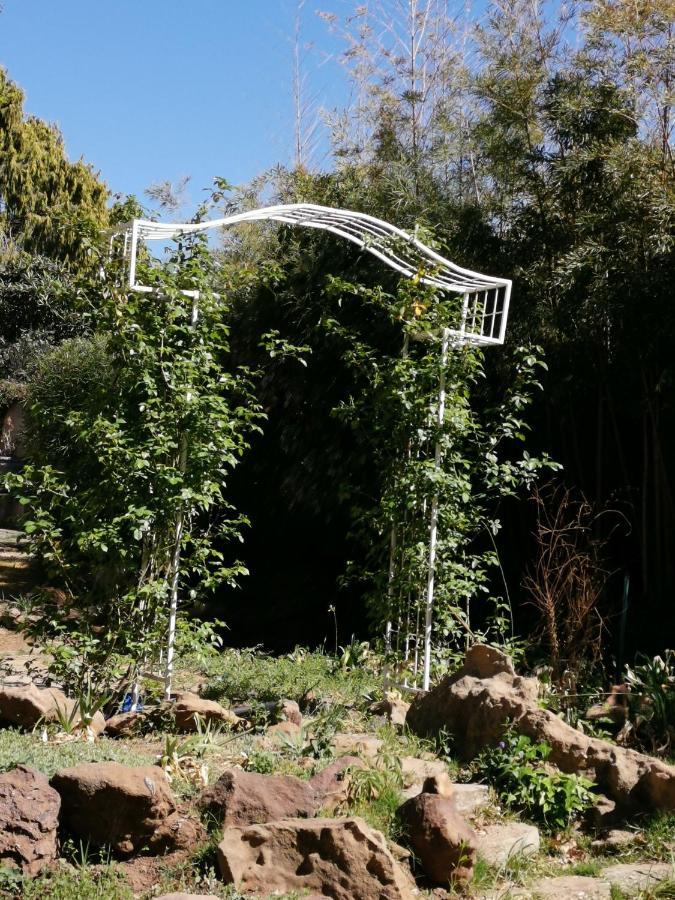 Lucolo Palace B&B Aliwal North Eksteriør bilde